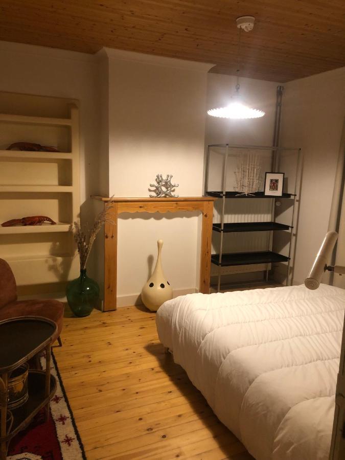 Karaktervolle Woning Met Zwembad Te Ronse Villa Екстериор снимка